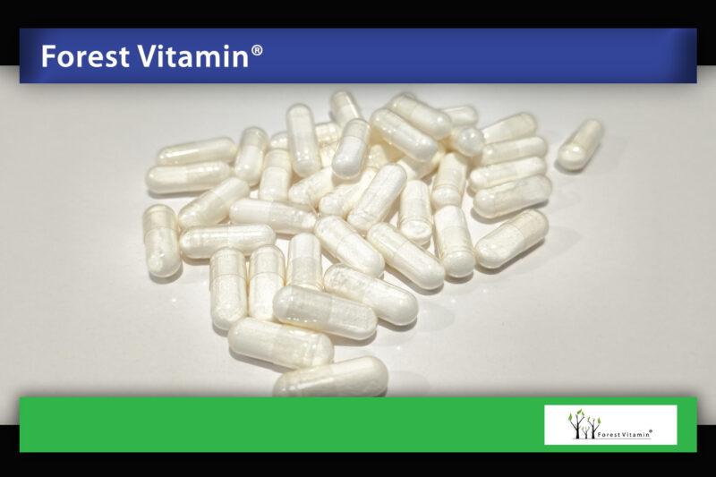 Forest Vitamin® Niacynamid 500 mg - 100 Kapsułek - obrazek 9