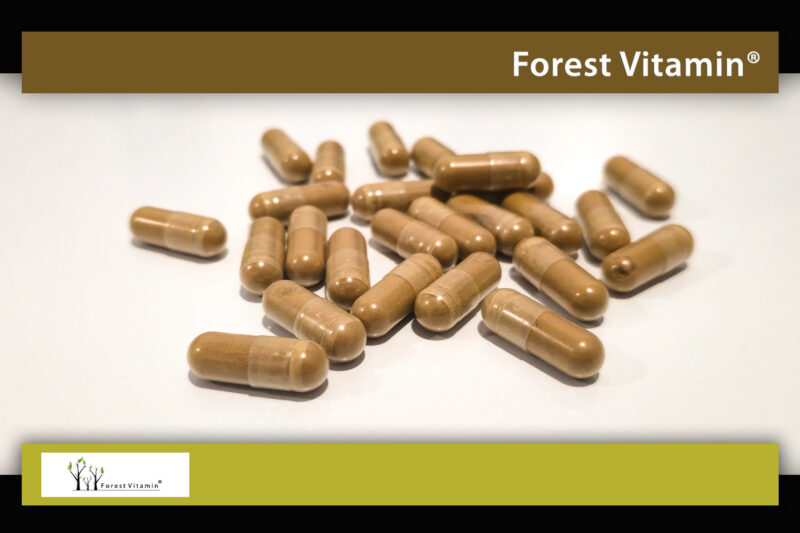 Forest Vitamin® Ekstrakt z Grzyba REISHI 500 mg - 60 Kapsułek - obrazek 9