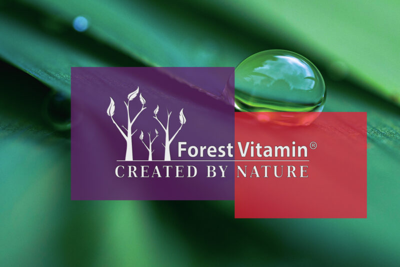 Forest Vitamin® Ca-AKG 500 mg - 60 Capsules - Image 4