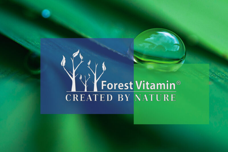 Forest Vitamin® Niacynamid 500 mg - 100 Kapsułek - obrazek 4