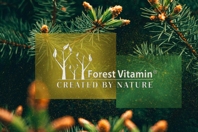 Forest Vitamin® Pyłek Sosny 50 gramów w Proszku - obrazek 4
