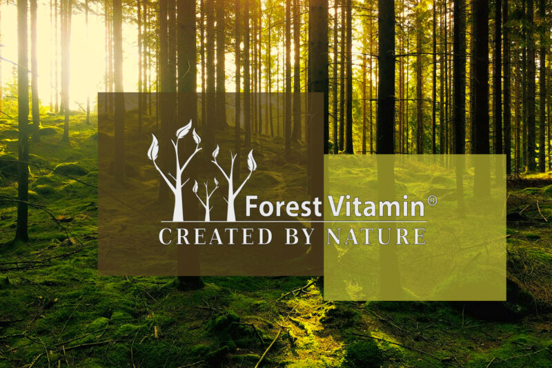 Forest Vitamin® Ekstrakt z Grzyba REISHI 500 mg - 60 Kapsułek - obrazek 4