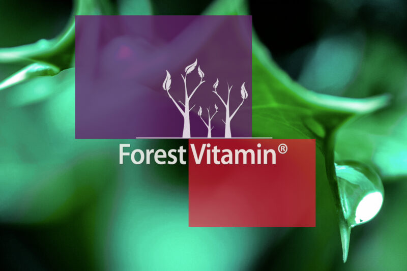 Forest Vitamin® Ca-AKG 500 mg - 60 Capsules - Image 10