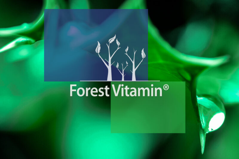 Forest Vitamin® Niacynamid 500 mg - 100 Kapsułek - obrazek 10
