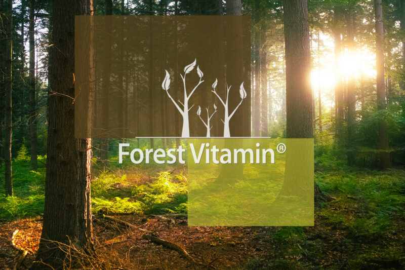 Forest Vitamin® Ekstrakt z Grzyba REISHI 500 mg - 60 Kapsułek - obrazek 10