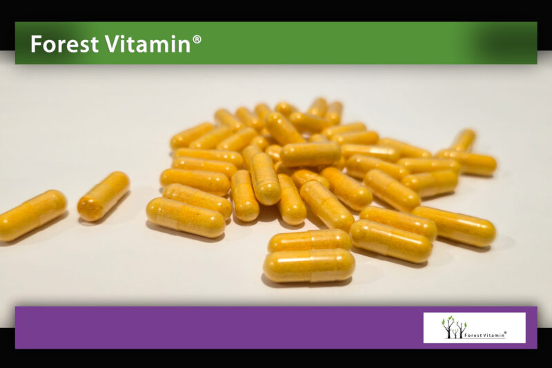 Forest Vitamin® Witamina B Complex - 60 Kapsułek HPMC - obrazek 9