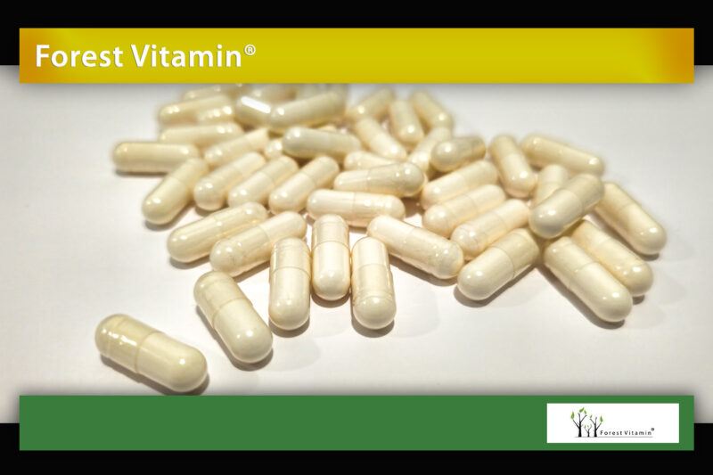 Forest Vitamin® Bromelaina 500 mg - 100 Kapsułek HPMC - obrazek 9