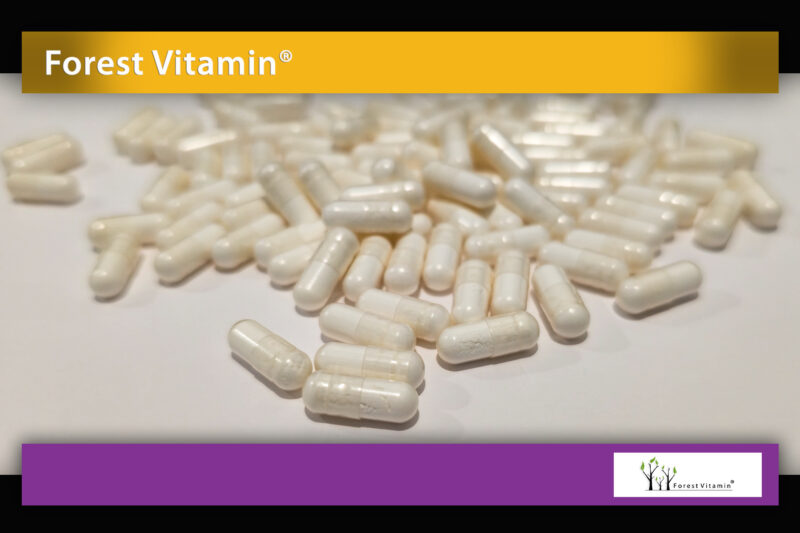 Forest Vitamin® Witamina B1 Tiamina 100 mg - 100 Kapsułek HPMC - obrazek 9