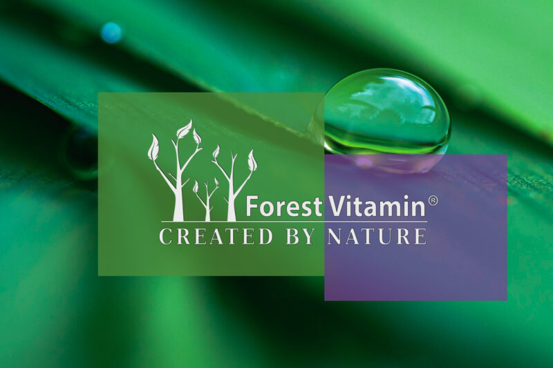 Forest Vitamin® Witamina B Complex - 60 Kapsułek HPMC - obrazek 4