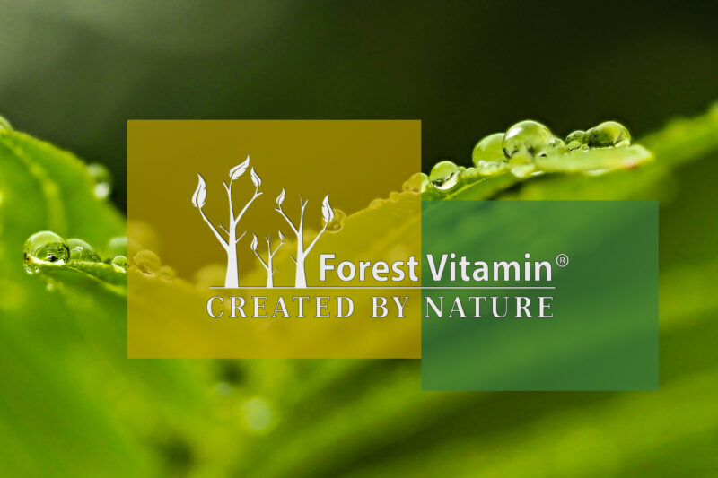 Forest Vitamin® Bromelaina 500 mg - 100 Kapsułek HPMC - obrazek 4
