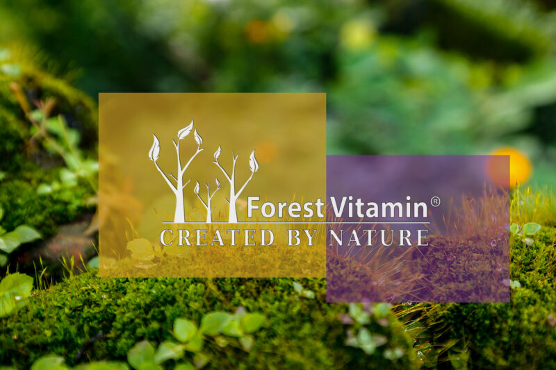 Forest Vitamin® Witamina B1 Tiamina 100 mg - 100 Kapsułek HPMC - obrazek 4