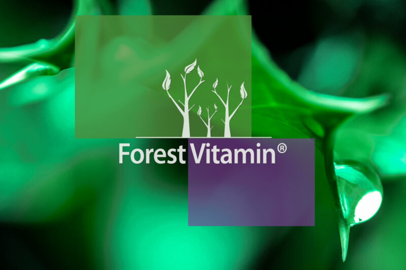 Forest Vitamin® Witamina B Complex - 60 Kapsułek HPMC - obrazek 10