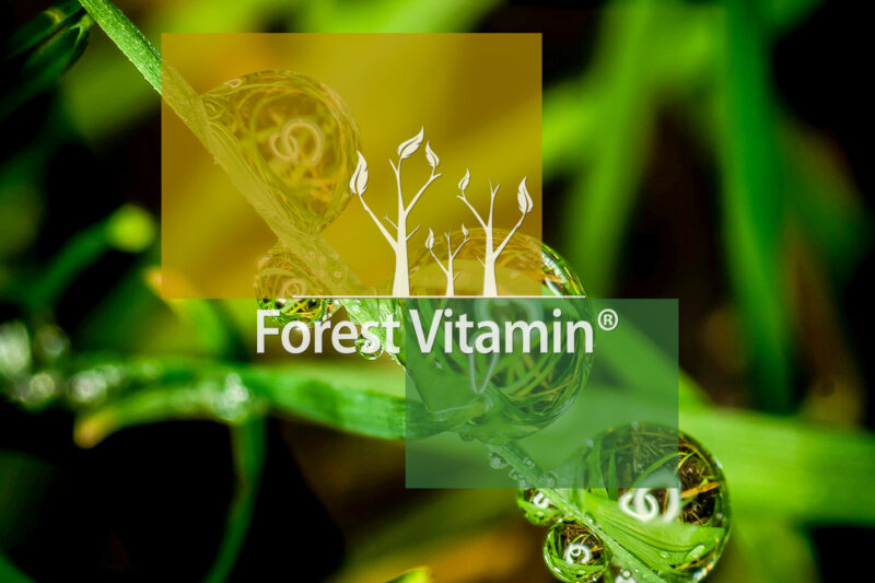 Forest Vitamin® Bromelaina 500 mg - 100 Kapsułek HPMC - obrazek 10