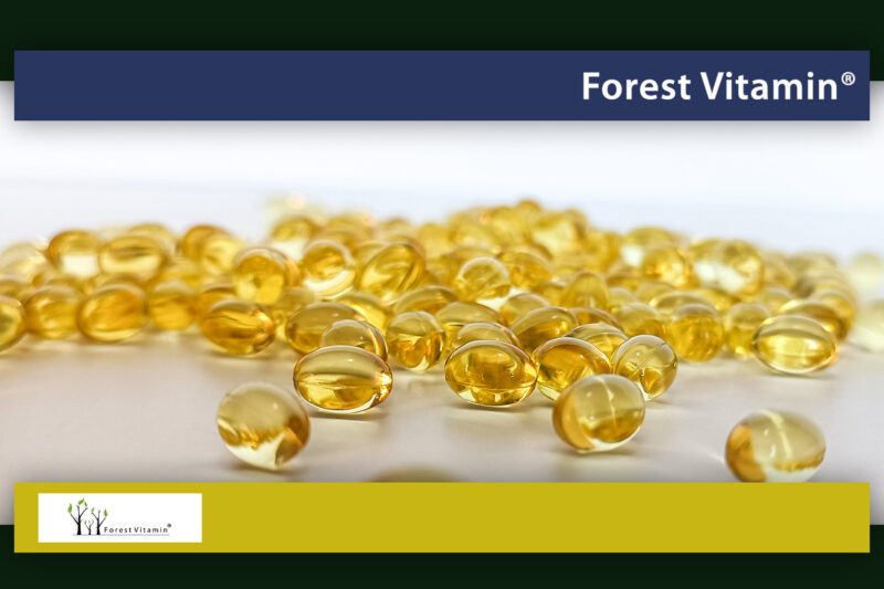 Forest Vitamin® Witamina A 25.000 IU - 100 Kapsułek Softgel - obrazek 9