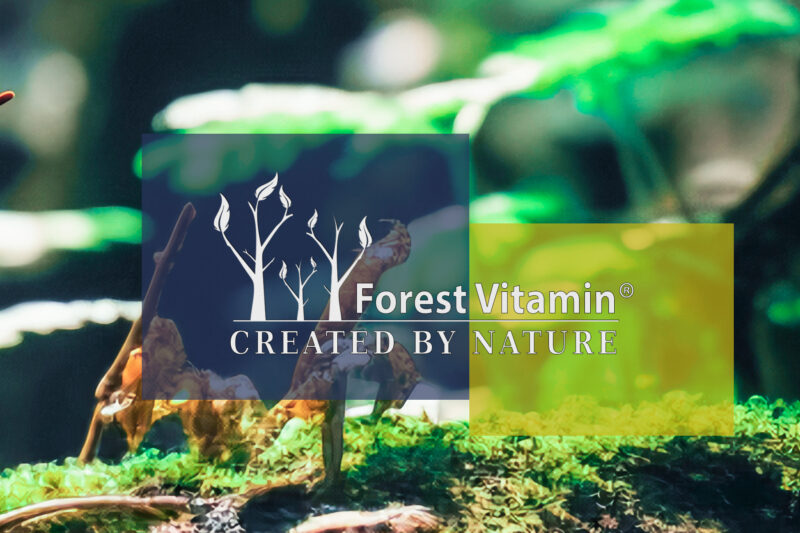 Forest Vitamin® Witamina A 25.000 IU - 100 Kapsułek Softgel - obrazek 4