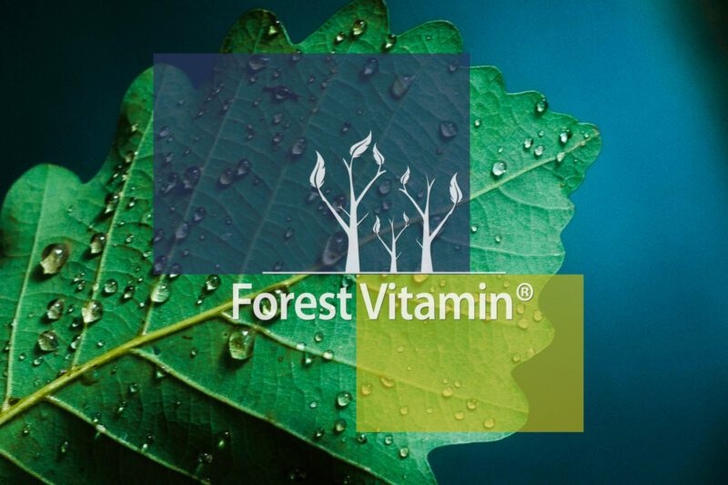 Forest Vitamin® Witamina A 25.000 IU - 100 Kapsułek Softgel - obrazek 10