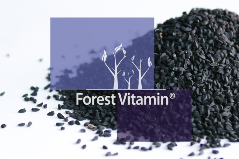 Forest Vitamin® Czarnuszka Ekstrakt (Nigella sativa) 500 mg - 60 Kapsułek - obrazek 10