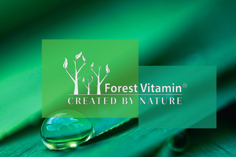 Forest Vitamin® Cytrulina 500 mg - 100 Kapsułek - obrazek 4