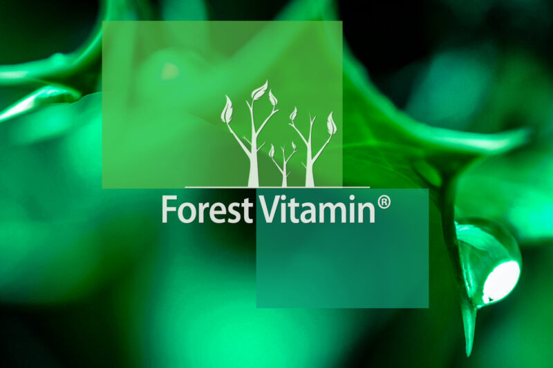 Forest Vitamin® Cytrulina 500 mg - 100 Kapsułek - obrazek 10