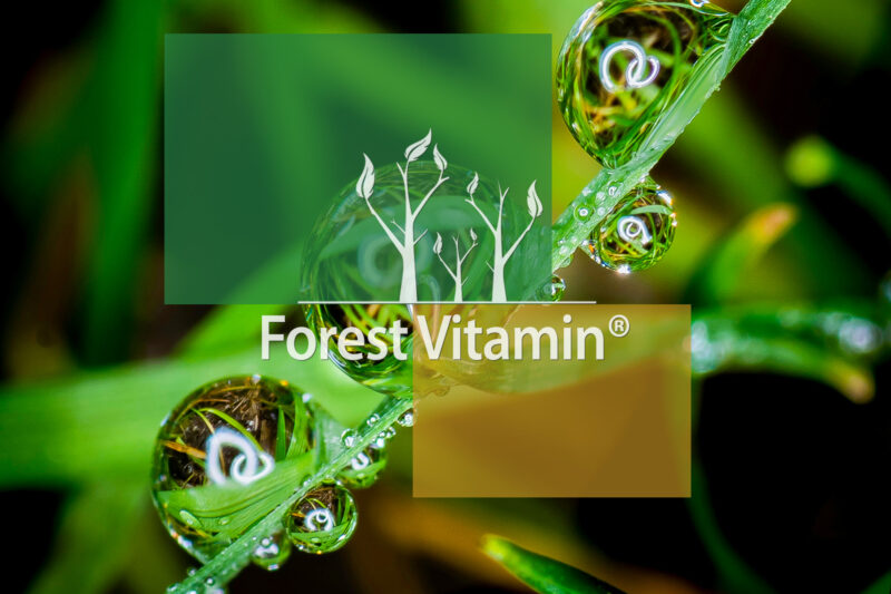 Forest Vitamin® Maca Ekstrakt 500 mg - 100 Kapsułek - obrazek 10