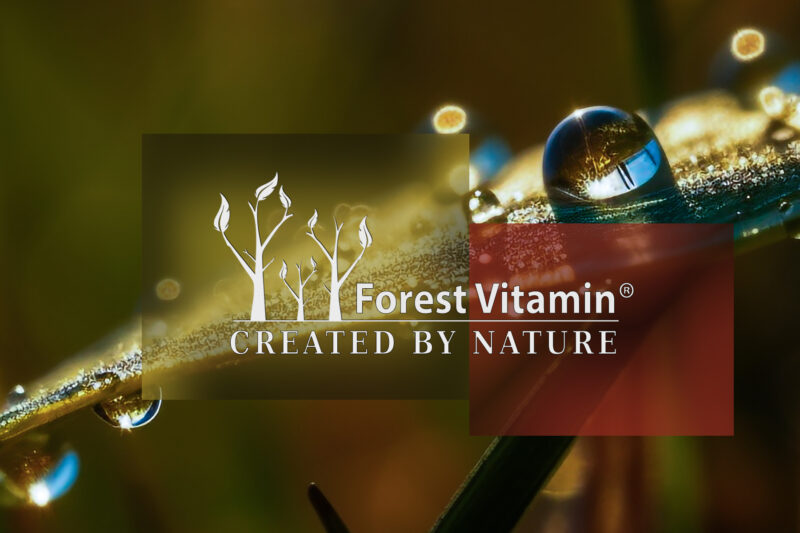 Forest Vitamin® Betaina Bezwodna TMG - 50 gramów w Proszku - obrazek 4
