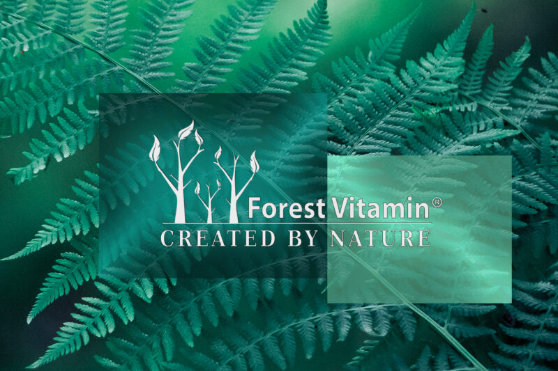 Forest Vitamin® Dwuwinian Choliny 500 mg - 200 gramów w Proszku - obrazek 4