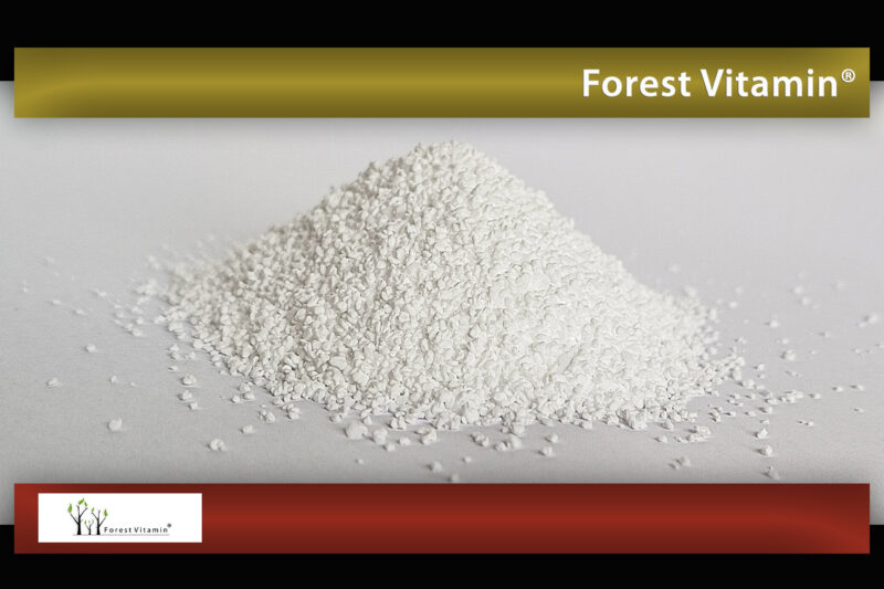 Forest Vitamin® Betaina Bezwodna TMG - 50 gramów w Proszku - obrazek 9