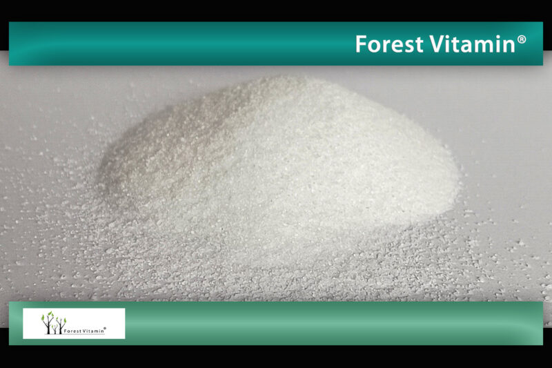 Forest Vitamin® Dwuwinian Choliny 500 mg - 200 gramów w Proszku - obrazek 9