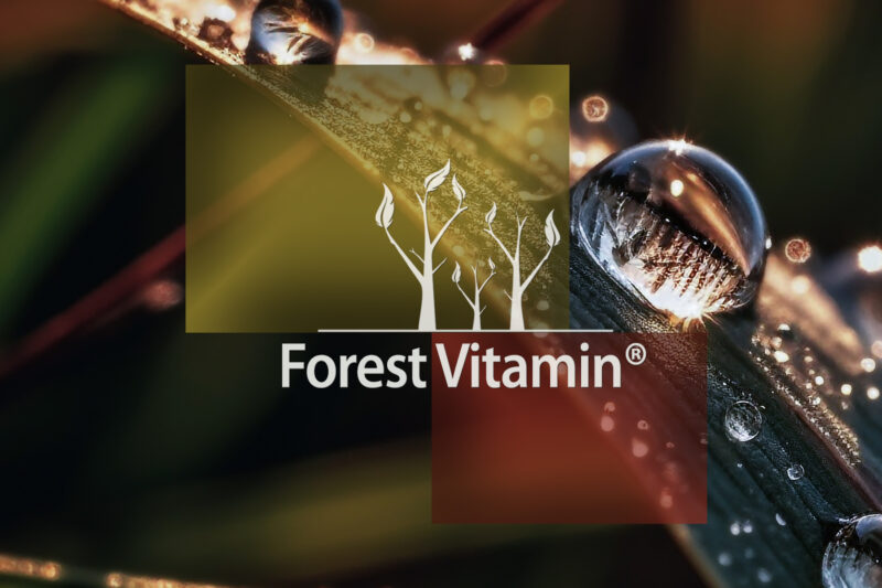 Forest Vitamin® Betaina Bezwodna TMG - 50 gramów w Proszku - obrazek 10
