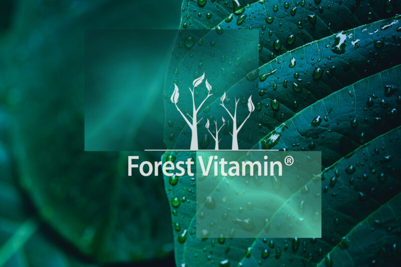 Forest Vitamin® Dwuwinian Choliny 500 mg - 200 gramów w Proszku - obrazek 10