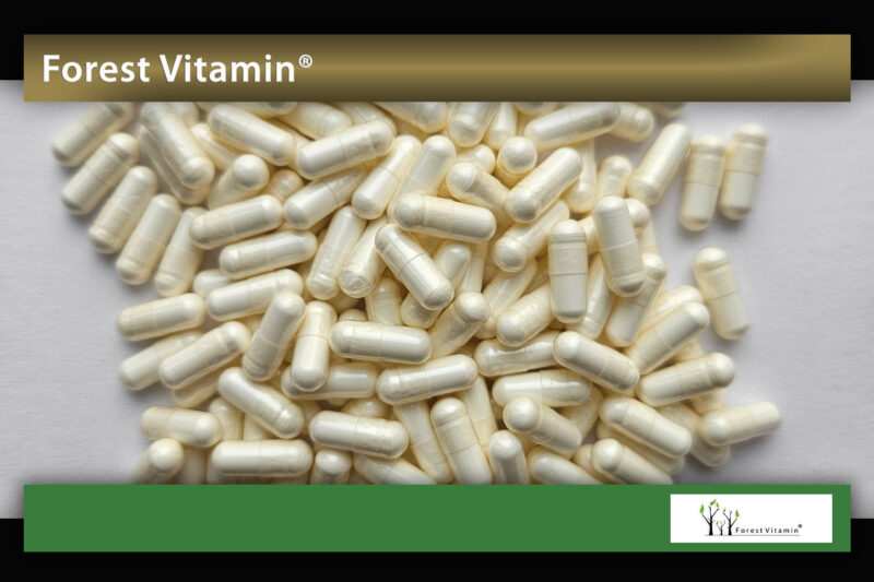 Forest Vitamin® Czosnek Ekstrakt 100 mg - 60 Kapsułek - obrazek 8