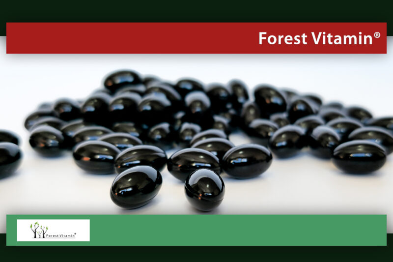Forest Vitamin® Astaksantyna 12 mg - 60 Kapsułek - obrazek 9