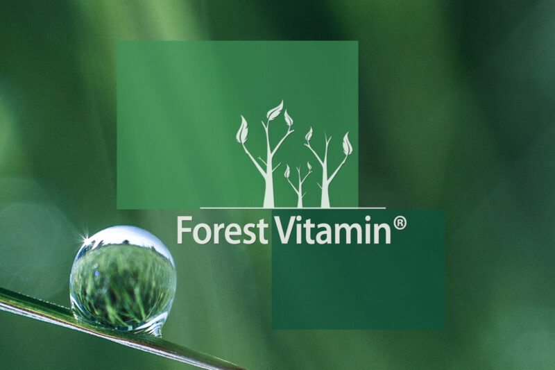 Forest Vitamin® Chlorella Naturalna 250 mg - 1000 Tabletek - obrazek 10
