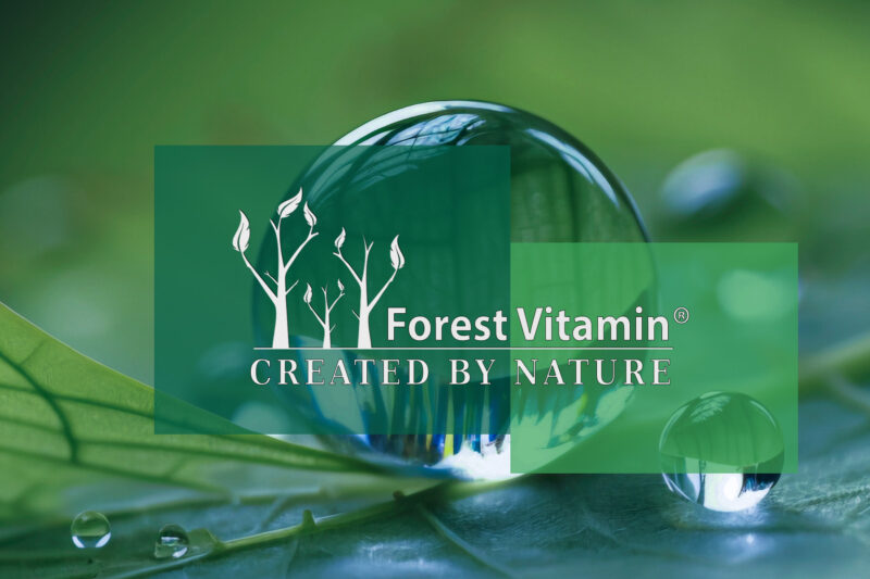 Forest Vitamin® Chlorella Naturalna 250 mg - 1000 Tabletek - obrazek 4