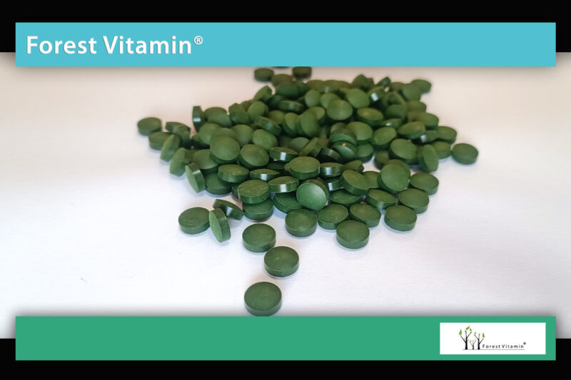 Forest Vitamin® Spirulina Organiczna 250 mg - 1000 Tabletek - obrazek 9