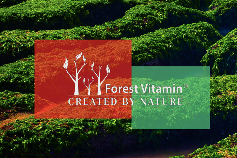 Forest Vitamin® Astaksantyna 12 mg - 60 Kapsułek - obrazek 4