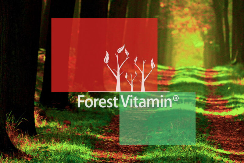 Forest Vitamin® Astaksantyna 12 mg - 60 Kapsułek - obrazek 10