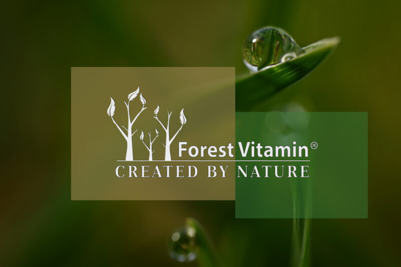 Forest Vitamin® Czosnek Ekstrakt 100 mg - 60 Kapsułek - obrazek 3
