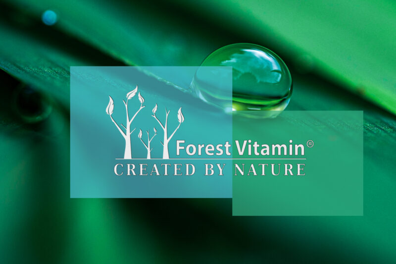 Forest Vitamin® Spirulina Organiczna 250 mg - 1000 Tabletek - obrazek 4