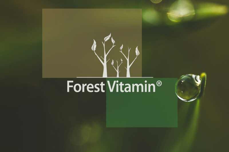 Forest Vitamin® Czosnek Ekstrakt 100 mg - 60 Kapsułek - obrazek 9