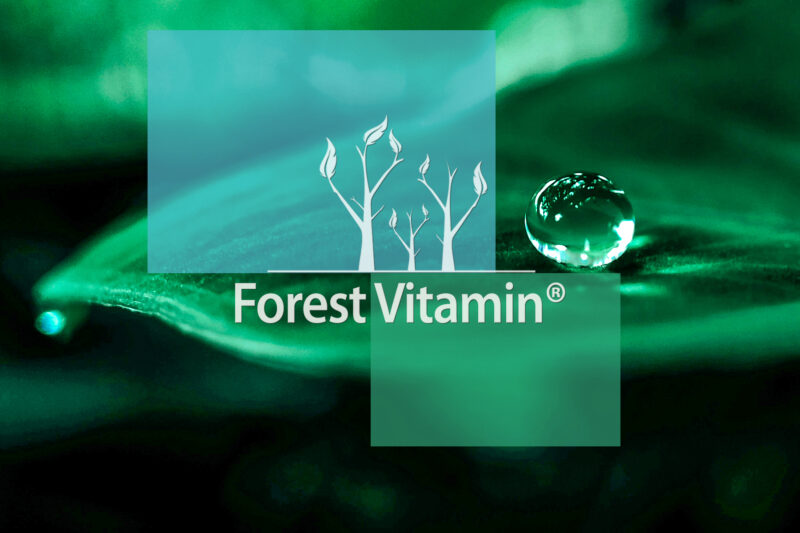 Forest Vitamin® Spirulina Organiczna 250 mg - 1000 Tabletek - obrazek 10