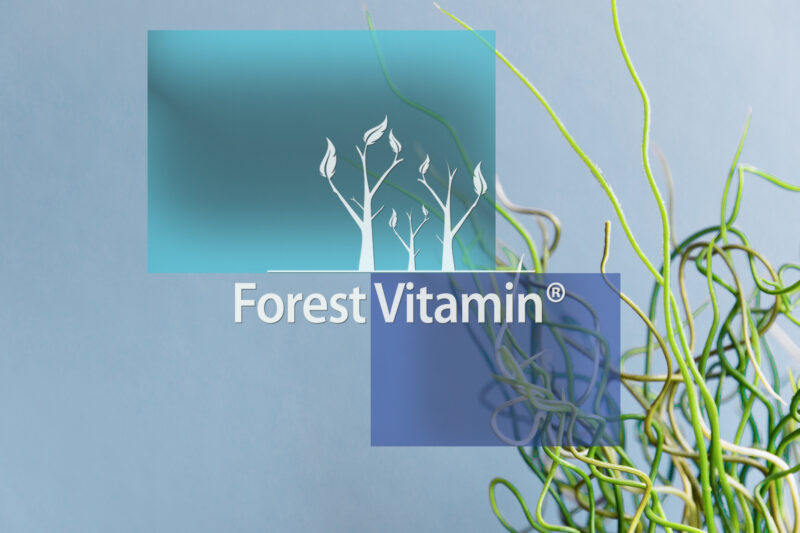 Forest Vitamin® Spirulina Organiczna Niebieska 340 mg - 25 gramów w Proszku - obrazek 10