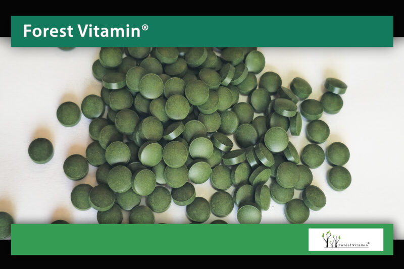 Forest Vitamin® Chlorella Naturalna 250 mg - 1000 Tabletek - obrazek 9